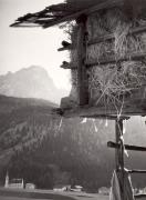 prato (Positivo) di Foto Sandro Saltuari, Bozen (1930/01/01 - 1959/12/31)