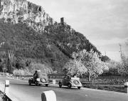 Motiv: Frühling (Positivo) di Foto E. Pedrotti, Bozen (1930/01/01 - 1969/12/31)