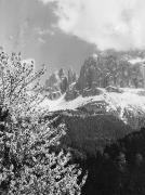 Motiv: Frühling (Positivo) di Foto Hermann Frass, Bozen (1950/01/01 - 1969/12/31)