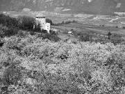 albergo (Positivo) di Foto Hermann Frass, Bozen (1950/01/01 - 1979/12/31)