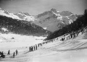 bosco (Positivo) di Bährendt, Leo (1910/01/01 - 1959/12/31)