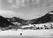 bosco (Positivo) di Foto Rotofoto, Milano (1950/01/01 - 1969/12/31)