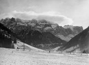 bosco (Positivo) di Foto Rotofoto, Milano (1950/01/01 - 1969/12/31)