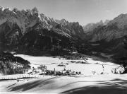 bosco (Positivo) (1950/01/01 - 1979/12/31)