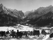 bosco (Positivo) (1950/01/01 - 1979/12/31)