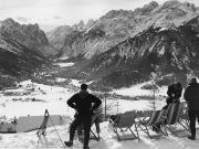 bosco (Positivo) (1950/01/01 - 1979/12/31)