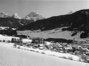 bosco (Positivo) di Foto Tappeiner, Meran (1950/01/01 - 1979/12/31)