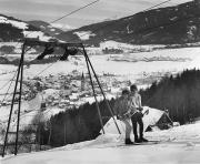 bosco (Positivo) di Foto Tappeiner, Meran (1950/01/01 - 1979/12/31)