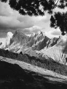 bosco (Positivo) di Foto N. Mussner, St. Ulrich (1950/01/01 - 1979/12/31)