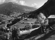 bosco (Positivo) (1950/01/01 - 1979/12/31)