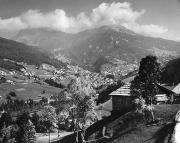 bosco (Positivo) (1950/01/01 - 1979/12/31)