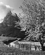 prato (Positivo) di Foto Fuchs-Hauffen, Überlingen (1950/01/01 - 1979/12/31)