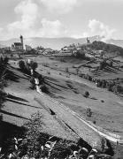 bosco (Positivo) (1950/01/01 - 1979/12/31)