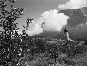 Obstbaum (Positivo) (1950/01/01 - 1979/12/31)