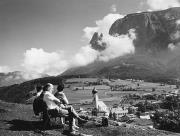 bosco (Positivo) (1950/01/01 - 1979/12/31)