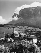 bosco (Positivo) (1950/01/01 - 1979/12/31)