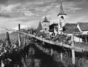 Ansitz Kreith (Gemeinde Eppan) (Positivo) di Foto Wenzel Fischer, Garmisch (1950/01/01 - 1979/12/31)