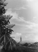 Kastanienbaum (Positivo) di Foto Pedrotti, Bozen (1950/01/01 - 1979/12/31)