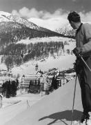 bosco (Positivo) (1950/01/01 - 1979/12/31)