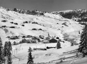 bosco (Positivo) di Foto Edizioni Ghedina (1950/01/01 - 1979/12/31)