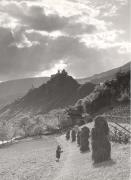 Heuernte (Grasernte) (Positivo) di Foto Müller-Brunke, Grassau (D) (1950/01/01 - 1979/12/31)