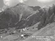 bosco (Positivo) di Foto Edizioni Ghedina (1950/01/01 - 1979/12/31)