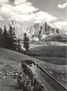 Viehtränke auf Alm/Wiese (Positivo) di Foto Edizioni Ghedina (1950/01/01 - 1979/12/31)