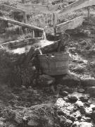 botte (Positivo) di Foto Müller-Brunke, Grassau (D) (1950/01/01 - 1979/12/31)