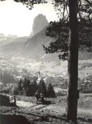 bosco (Positivo) (1950/01/01 - 1979/12/31)