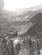 bosco (Positivo) di Foto E. Pedrotti, Bozen (1930/01/01 - 1959/12/31)