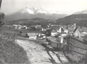 bosco (Positivo) di Foto Edizioni Ghedina (1950/01/01 - 1979/12/31)