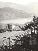 Winzer(in) a/i/b.Kaltern (Positivo) di Foto Hermann Frass, Bozen (1950/01/01 - 1979/12/31)