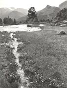 Bergsee (Positivo) di Foto E. Pedrotti, Bozen (1930/01/01 - 1965/12/31)