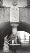 fontana (Positivo) (1950/01/01 - 1969/12/31)