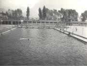 Wassersport: Schwimmsport (Positivo) di Foto E. Pedrotti, Bozen (1930/01/01 - 1959/12/31)