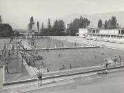 Wassersport: Schwimmsport (Positivo) di Foto E. Pedrotti, Bozen (1930/01/01 - 1959/12/31)