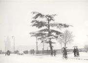 Motiv: Winter (Positivo) di Foto Pedrotti, Bozen (1950/01/01 - 1969/12/31)