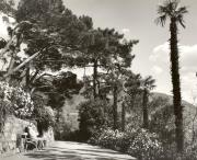 Spaziergänger (Positivo) di Foto Fuchs-Hauffen, Überlingen (1950/01/01 - 1979/12/31)