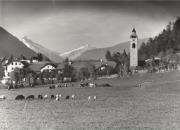 Kühe/Rinder auf der Weide (Positivo) di Foto Mariner, Bruneck (1950/01/01 - 1979/12/31)