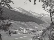 bosco (Positivo) di Foto Edizioni Ghedina (1950/01/01 - 1979/12/31)