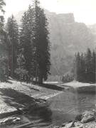 Nadelwald (Positivo) di Foto Pedrotti, Bozen (1950/01/01 - 1979/12/31)