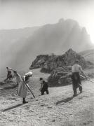 Heuernte (Grasernte) (Positivo) di Foto Löbl, Bad Tölz/Oberbayern (1950/01/01 - 1979/12/31)