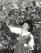 Winzer (Positivo) di Foto Löbl, Bad Tölz/Oberbayern (1950/01/01 - 1979/12/31)