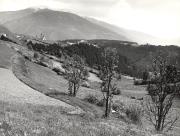 prato (Positivo) di Foto Löbl, Bad Tölz/Oberbayern (1950/01/01 - 1979/12/31)