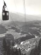 bosco (Positivo) di Foto Edizioni Ghedina (1950/01/01 - 1979/12/31)