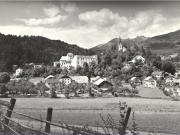 bosco (Positivo) di Foto Edizioni Ghedina (1950/01/01 - 1979/12/31)