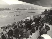 Wettkampf: Pferderennen (Positivo) di Foto Lux, Venezia (1946/01/01 - 1969/12/31)