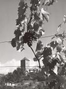 Schloss Tirol (Positivo) di Foto Müller-Brunke, Grassau (D) (1950/01/01 - 1979/12/31)