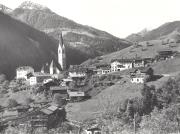 bosco (Positivo) di Foto Edizioni Ghedina (1950/01/01 - 1979/12/31)