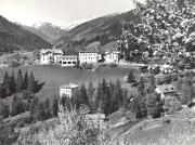 bosco (Positivo) di Foto Edizioni Ghedina (1950/01/01 - 1979/12/31)